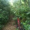 Cross Cut Trail Cross Cut Trail